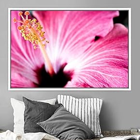 signwin Framed Canvas Wall Art Blooming Closeup Botanical...