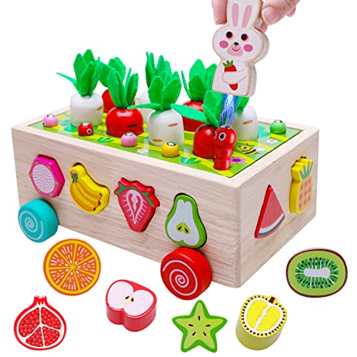 Montessori Toys for 1 2 3 Year Old Toddlers, Wooden Shape Sorter Toy