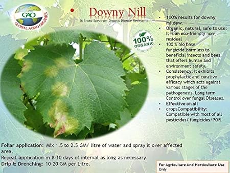 Organic Fungicide for downy mildew,100%Water Soluble, all types of fungul and Bacterial infection of all types of plants and gardens (500GM)