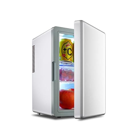 Mini Nevera De Coche 16L Y Refrigerador Dual del Refrigerador del ...