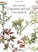 Common Weeds: Coloring Book by Stefen Bernath, E.F.Bleiler