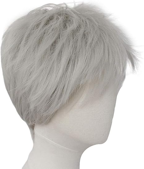 Amazon Co Jp マット化学繊維高温シルクウィッグ男性グレーふわふわショートヘアコスプレヘッド小道具ローズネットシミュレーション頭皮 ホーム キッチン