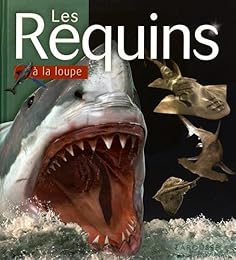 Les  requins à la loupe
