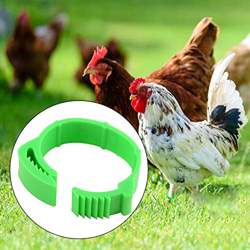Shunfaji 100 Stück Poultry Beinringe, Klemmringe Verstellbarer Hühner-FuÃring, Ring zur Kennzeichnung von Geflügel mit Clips für Farm & Ranch Ringe (Grün) – Bild 6