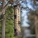 Outdoor Hanging Wild Bird Feeder - 6-Port
