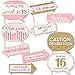 Big Dot of Happiness Funny Sweet 16-16th Birthday Party Photo Booth Props Kit - 10 Piece