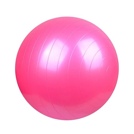 Ssery Balón de Yoga, balón de Equilibrio de 55 cm, Fitness ...