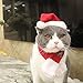 Christmas Cat Costume Santa Hats - Xmas Gift Hat with Scarf for Mini Dogs Puppy, Adorable and Warm