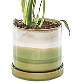 CHIVE ‘Minute’ Ceramic Planter Pot — Cute 5” Colorful Succulent Pots for Indoor & Outdoor House Plants — Beautiful Modern Farmhouse Kitchen Decor — Green Layers