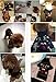 BOBIBI Dog Sweater for Christmas Cartoon Reindeer Pet Cat Winter Knitwear Warm Clothes