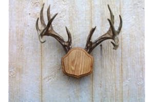 Taxidermists Woodshop The Medium Oak The Deer Stand Antler Mounting Kit