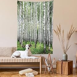 Lunarable Landscape Tapestry Queen Size, Autumn