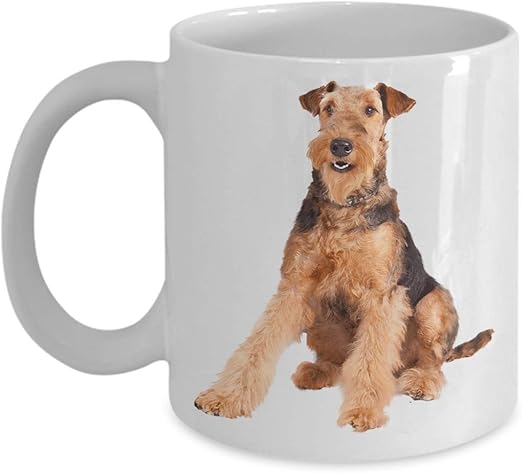 real pet monkeys for sale