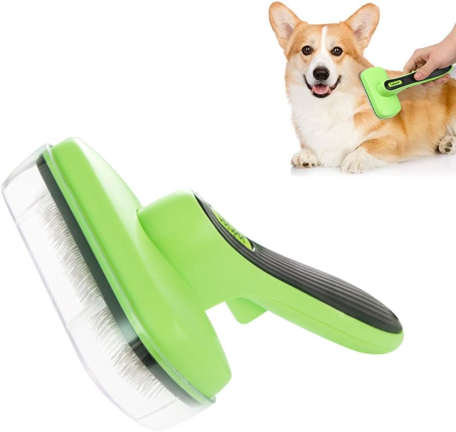 How To Remove Your Dog's Undercoat at Gloria Hundley blog