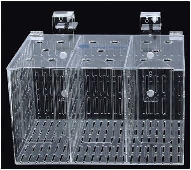 Sea Side Aquatics Large Acclimation/Breeding Box