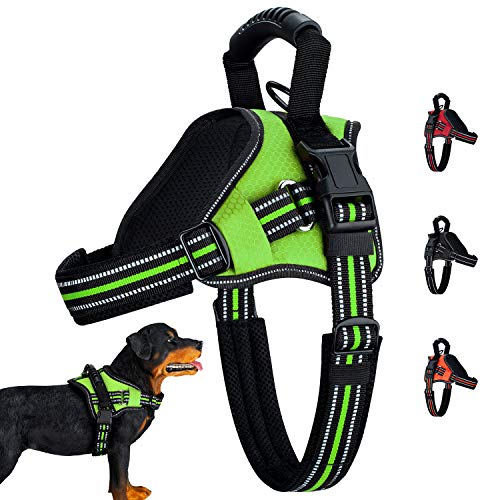 best adjustable dog harness