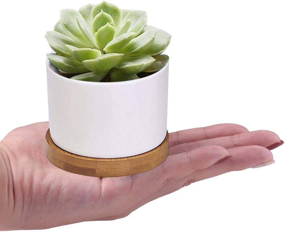 Succulent Pots, ZOUTOG White Mini 3.15 inch Ceramic Flower Planter Pot with Bamboo Tray, Pack of 6 - Plants Not Included: Kitchen & Dining