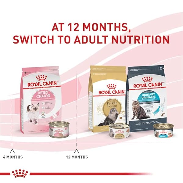 ROYAL CANIN FELINE HEALTH NUTRITION DRY KITTEN FOOD, SUPPORTS DIGESTIVE HEALTH, IMMUNE SUPPORT AND HEALTHY ENERGY, 3 LB BAG