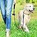 Toozey 5 FT Dog Leash, Rope Leash with Comfortable Padded Handle and Reflective Threads, Heavy Duty Braided Leash for Medium Large Dogs, Red