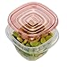 Rubbermaid TakeAlongs Assorted Food Storage Containers, Tint Chili, 40-Piece Set