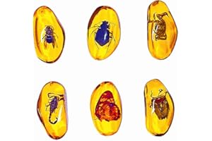 BETENSH 6pcs Amber Fossils with Insects Samples Stones Crystal Samples for Home Decorations Collections Oval Pendants Pendant Science Educational (6PCS)