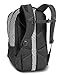 The North Face Jester Backpack, Lunar Ice Grey Chainlink Print, One Size
