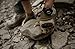 Reebow Gear Military Fingerless Hard Knuckle Tactical Gloves Half Finger for Army Gear Sport Driving Shooting Paintball Riding Motorcycle