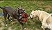 EXPAWLORER Puppy Dog Rope Toys For Dogs, Pet Chew Toy Large Doggie, Healthy Cotton