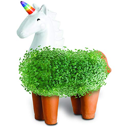 Chia CP43701 Pet Unicorn Decorative Pottery Planter, Easy to Do and