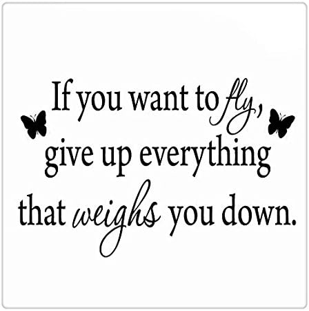 If You Want to Fly, Give Up Everything that Weighs You Down Wall Decal VWAQ-1624