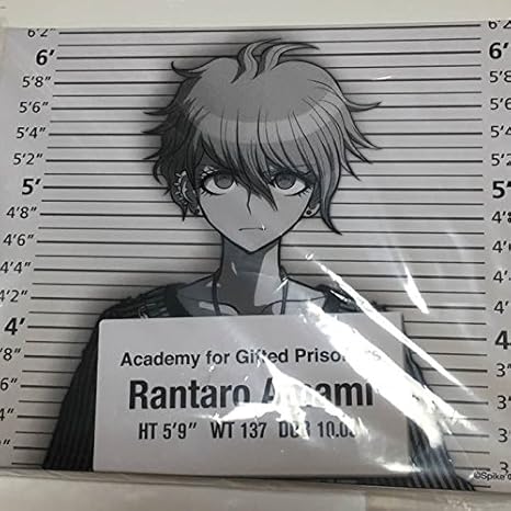 Amazon 楽天コレクション ニューダンガンロンパv3 くじ 楽コレ 天海 A賞 キャンバスアート アニメ 萌えグッズ 通販