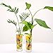 Aweoods Water Beads Rainbow Mix (45,000 Beads), Water Growing Balls for Kids Tactile Sensory Toys, Vase Filler, Plants Decoration