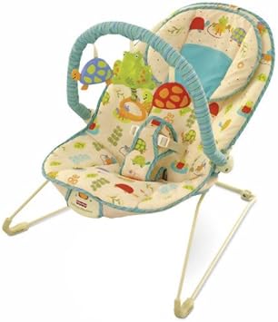amazon fisher price bouncer
