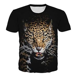 51Pp4bn%2BjAL. SS300