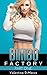 Bimbo Factory: Part 1