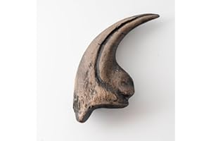 PUMNAO Fossilized Teeth and Claws of Various Prehistoric Dinosaurs, Megalodon Shark Teeth, and High-Fidelity Replicas (Yellow Allosaurus Claw)