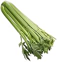 Celery, Medium