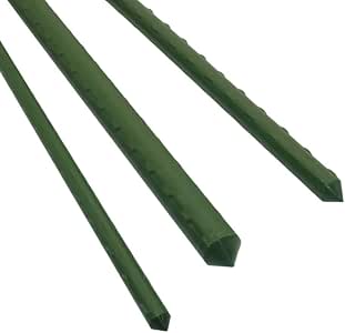 ZAMTAC - Soporte para Plantas de Escalada, Invernadero, jardinería ...
