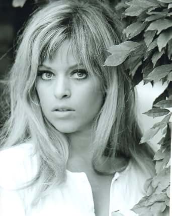 Victoria Vetri 8x10 glossy Photo #E2841 at Amazon’s Entertainment