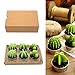 Cactus Candle, HOOKE 6 Pack Decorative Cactus Candles Tea Light Candles for Birthday Party Wedding Spa Home Decoration-3 Styles Mixed Green (Green-3 Styles)