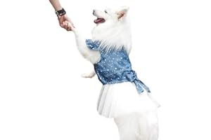 FLADOREPET Polka Dot Big Large Dog Princess Dress Tutu Skirt Golden Retriever Pitbull Summer Dog Clothes Hoodie Costume (XXL, Blue)