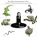 WUHOSTAM 250W Ceramic Heat Lamp,Infrared Bulb Emitter Lamp Bulb for Pet Coop Heater Reptile Chicken Lizard Turtle Brooder Bulb No Harm No Light - 24hr Heat Source - 1 Pack