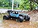 RC Cars, All Terrain Remote Control High-Speed Telecar, Offroad 2.4Ghz 2WD Remote Control Monster Truck, Best Christmas Gift for Kids and Adults(Blue)