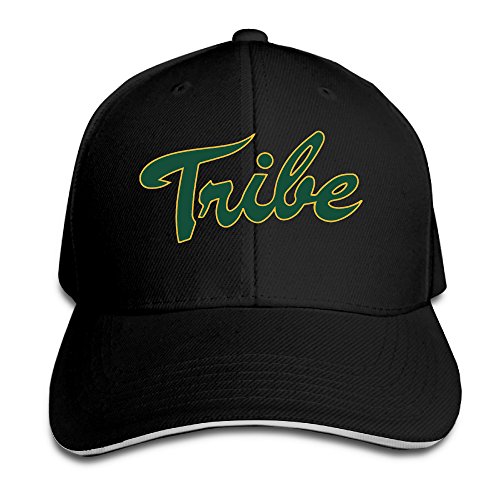 William & Mary Tribe Logo Flex Baseball Cap Black
