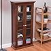 Tangkula Multimedia DVD/CD Storage Cabinet, Wooden Media Storage Cabinet, Multi-Functional Home Furniture Media Storage Tower with Tempered Glass Door, Brown