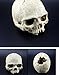 Hewnda Aquarium Decor Resin Artificial Head Skeleton Decoration – Aquarium Otaru Aquarium Decorative Cave Landscape Pet Reptile Housethumb 3