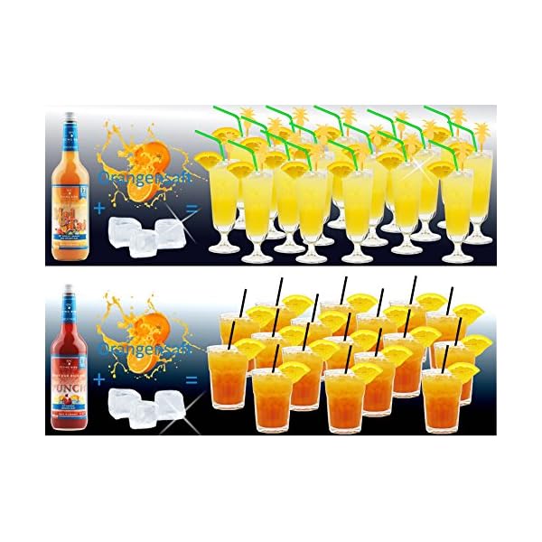 Flying Bird - Mix Paket für 130 fertige Cocktails | 8 Flaschen 0,7l mit allen Zutaten | Saft auffüllen und genießen – Bild 7