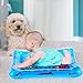LUKAT Baby Water Play Mat Tummy Time Inflatable Mat for 3/6/9 Month Infants & Toddlers Sensory Toy Activity Center Early Development BPA Free