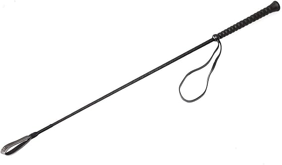 Homenique Braided Nylon Dog Training Stick/Horse Riding Crop with Handle (Multicolour, 31-Inch)