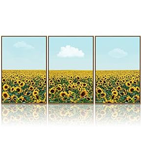 signwin 3 Piece Framed Canvas Wall Art Field...